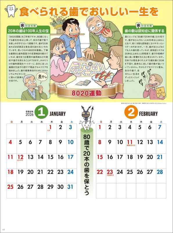 2026年1月始まり 壁掛カレンダー SG217 歯の健康カレンダー 2026年