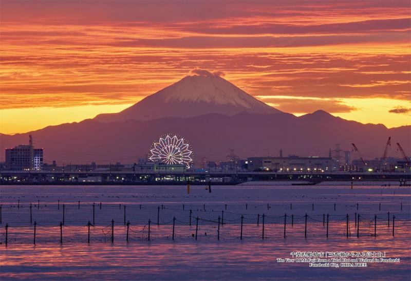 キューティーズ(Cuties) 【日本製】 300ピース ジグソーパズル 日本の都市75 千葉県船橋市「三番瀬からみる富士山」 (26x38cm) 300-431 のり付き スポンジ付き