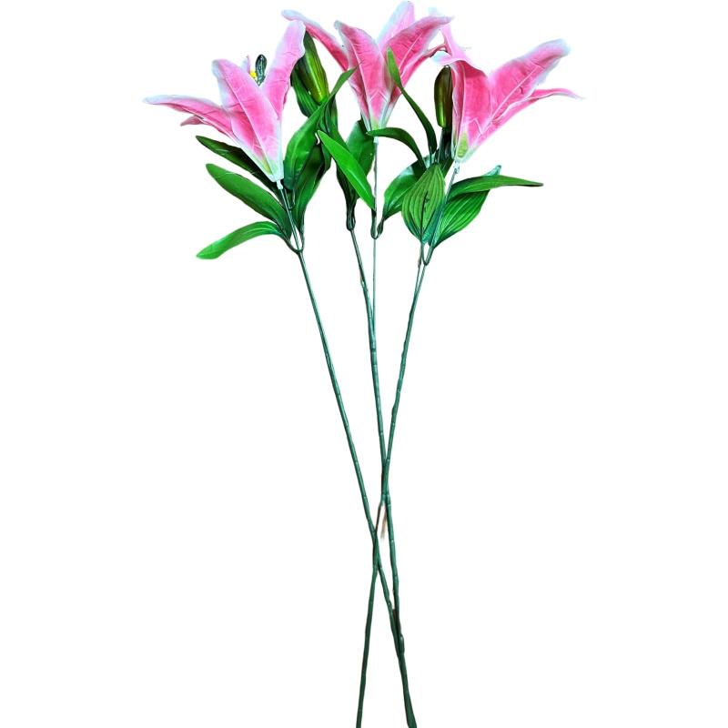 塼ե(Q-FLA) ¤ ƥե ֥ 3 AB 󥸥   276965