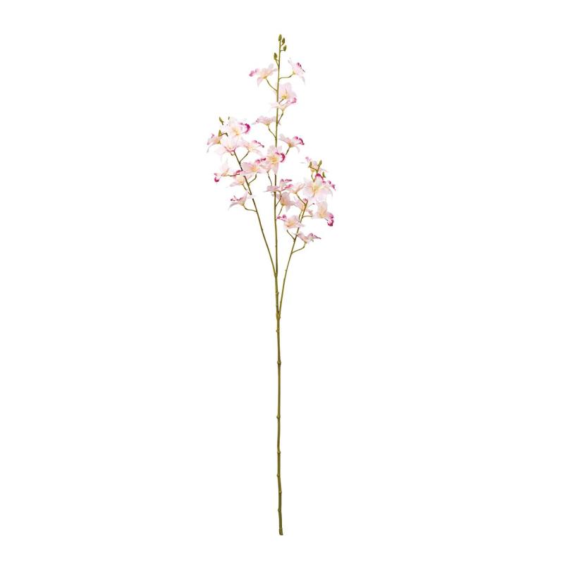 ���Ʋ(Tokyodo) ¤�� ���쥬��ƥ������å� #002�ԥ� �ַ�6.5��L100��W30cm 1�� FM005027-002