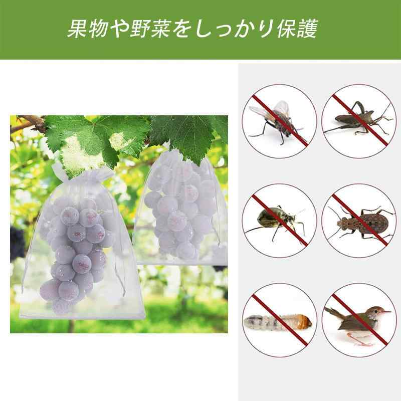 果物保護バッグ 防虫ネット 通気性 透明感のある保湿 環境に優しく耐久性に優れています ドローストリングデザイン 鳥虫害対策 野菜保護 農業 園芸用 保護バッグ（10*15cm 50枚） ciel-sora-10105972 ciel-sora サンプル画像2