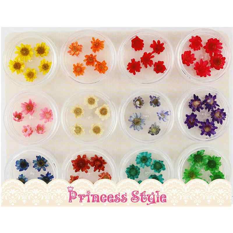Princess-style スターフラワー ネイル レジン 封入 パーツ ミニ 素材 材料 12色×各5個セット日本国内で染色・選別小分け→包装まで一貫管理しています。入り数：12色×各5個　カラー：12色 ブルー、グリーン、ピンク、ホワイト、パープル、イエロー、オレンジ、レッド等サイズ：約5～10mm前後輸送時の衝撃に強いアクリルコンテナ、環境にやさしい紙台紙使用