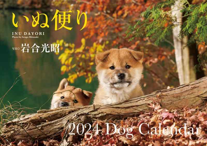 Rakuten - 【S12】　いぬ便り　2024　Dog Calendar (永岡書店のカレンダー)