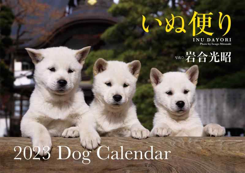 乐天商城 - いぬ便り 2023 Dog Calendar 【S12】 (永岡書店のカレンダー)