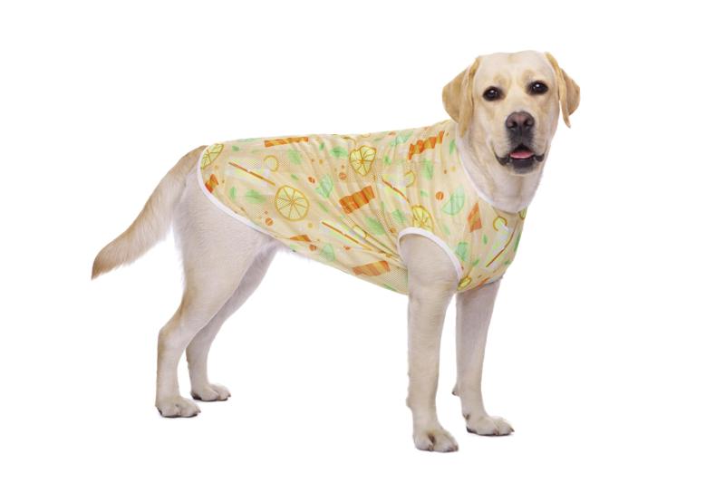 Paipeper 犬 服 中型犬 大型犬 犬の服 夏服 ドッグウェア Tシャツ クールウェア 接触冷感 クールベスト ひんやり メッシュ 防蚊 虫よけ 日焼き防ぐ 水着素材 抜け毛対策 お散歩