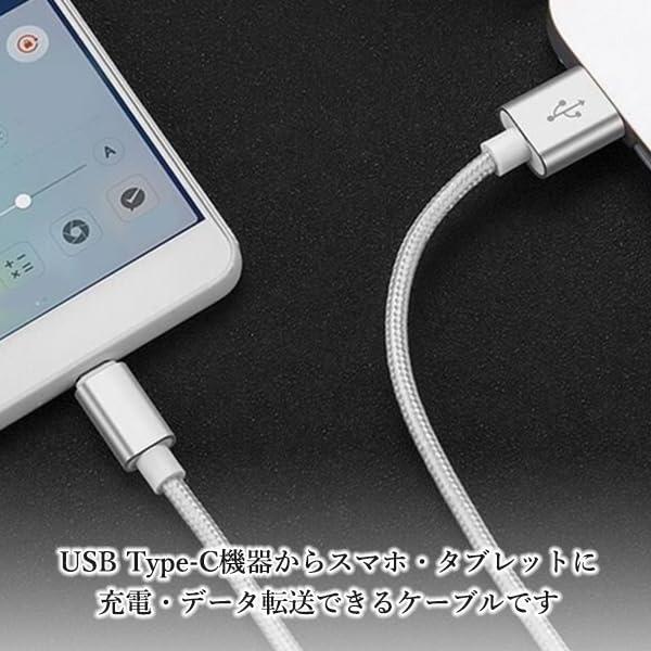 Remarks Japan USB Type-...の紹介画像3