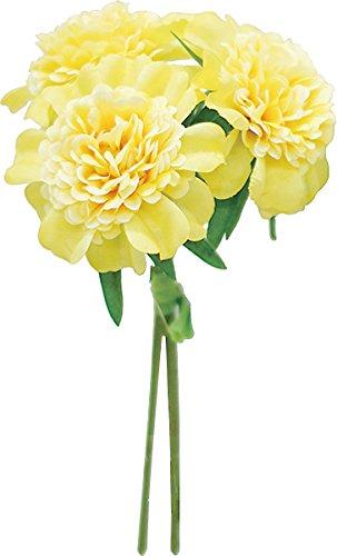 ciel-sora㤨֥륢 ¤ ˥塼ޥХɥ3פβǤʤ402ߤˤʤޤ