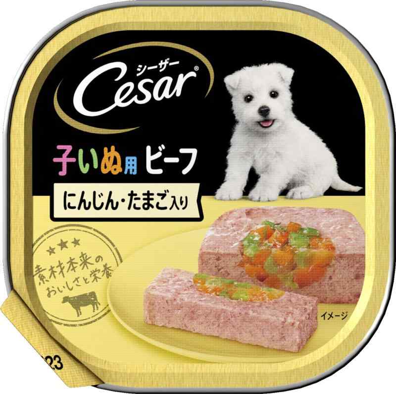 乐天商城 - シーザー 2ヶ月からの子いぬ用 ビーフ にんじん&たまご入り 100g [ドッグフード・ウェット]