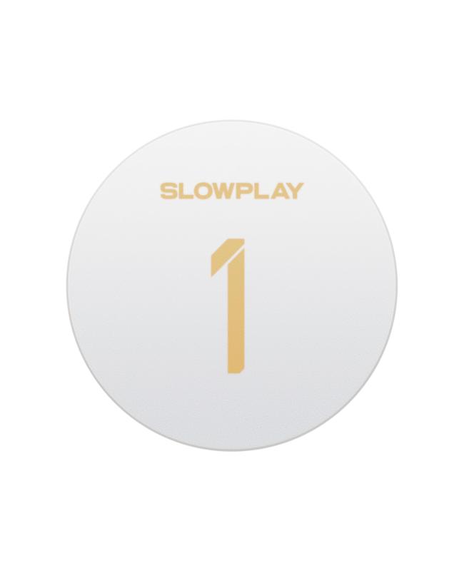 SLOWPLAY Godel Ceramic Poker Chip