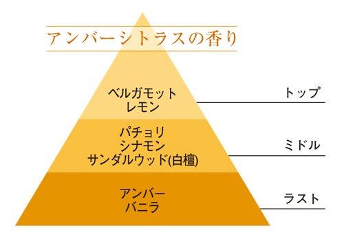 ciel-soraのエステバン アンバー デコラティブラタンブーケ お部屋用芳香剤｜アングル2