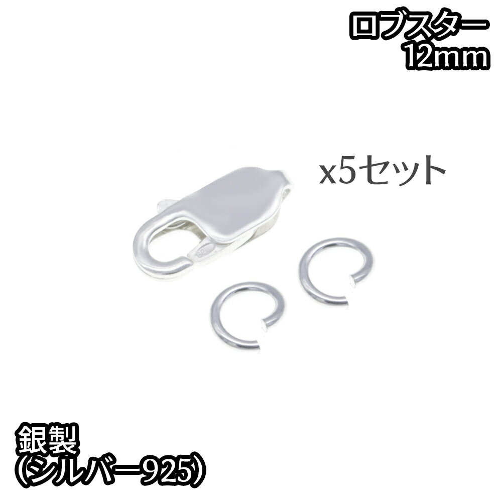 Vo[925 (p[c3x5Zbg) NXv uX^[ JjJ 925 Ђ Zbg Vo[p[c ~ߋ CLASP lbNX `F[ ߋ  Silver ANZT[ fB[X Y `F[ py[W