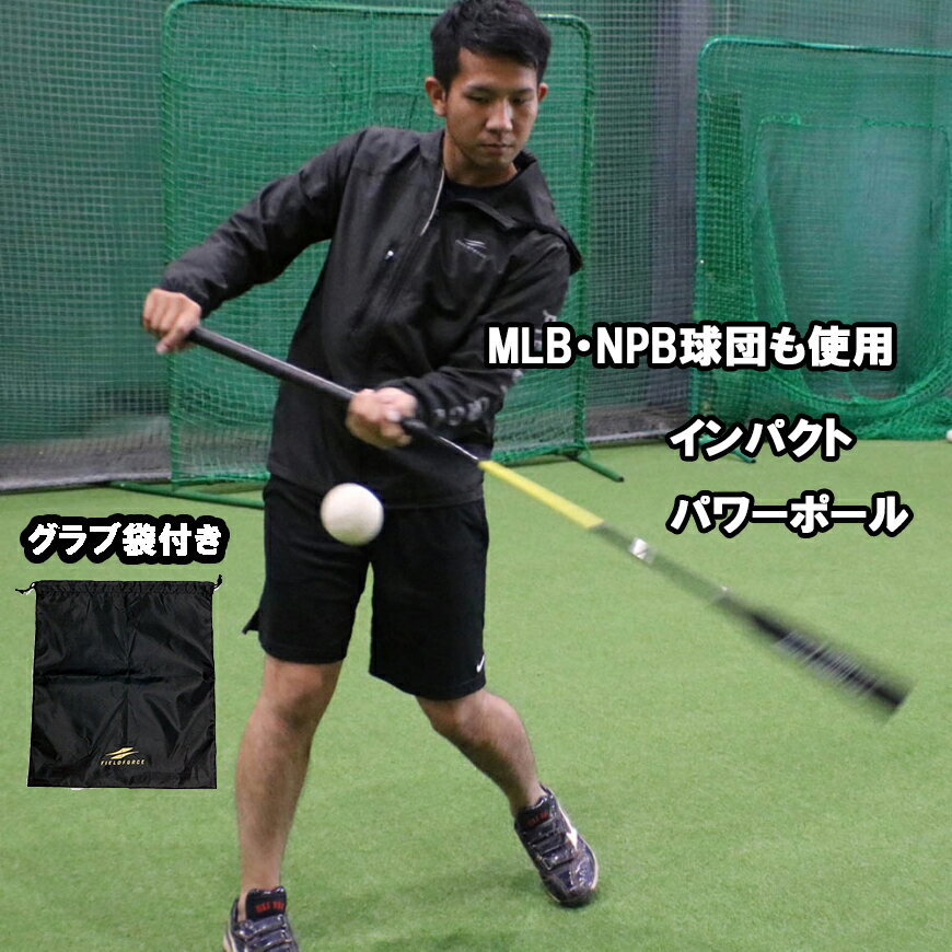 インパクトパワーポール FIMP-1305　2本セット ロゴ入り グラブ袋付き 限定セット バッテイング上達 MLB NPB でも使用 フィールドフォース バッテイング練習 トレーニングバット 打撃上達 FIELDFORCE