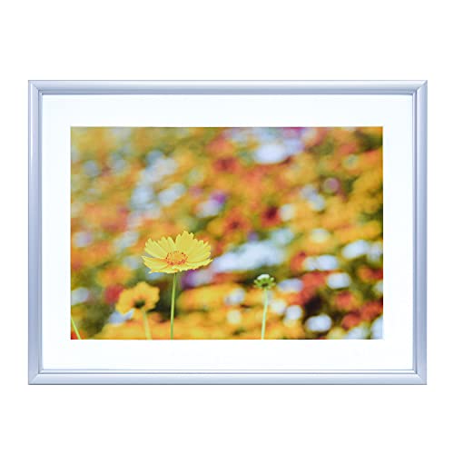 軽量シルバー/ワイド4切/A32-W4-S・Color:シルバーSize:ワイド4切・パッケージ個数:1・前面板には軽量で安心安全のPET素材を採用。ガラスのような破損もなく地震や小さなお子様のいる家庭でも安心してご使用いただけます。・厚手Vカット台紙(厚さ1.0mm)・額縁外寸:W441×H336mm 額縁内寸:W410×H305mm・マット外寸:W420×H315mm マット内寸:W350×H238mm・重量：610g前面板には、軽量で安心安全のPET素材を採用。 軽くてガラスのような破損もなく、地震や小さなお子様のいる家庭でも安心してご使用いただけます。 シャープな印象の角型フレーム。 ●アルミ製 ●色:シルバー(クリア仕上げ) ●前面板:透明PET板使用(厚さ0.5mm) ●吊紐付き ●額縁外寸:W441×H336mm ●額縁内寸:W410×H305mm ●マット外寸:W420×H315mm ●マット内寸:W350×H238mm ●重量: 610g