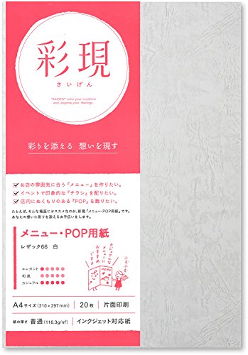 PCM竹尾 プリンタ用紙 彩現 メニュー・POP用 A4 レザック66 白 1742155