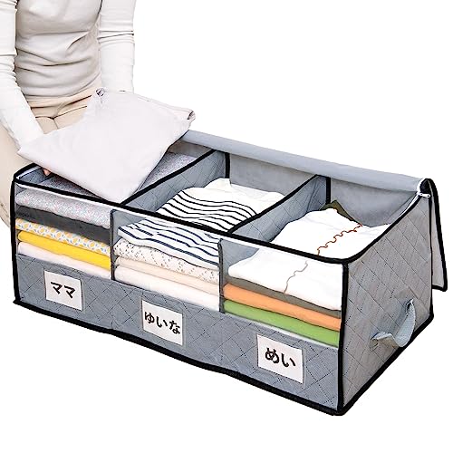 アストロ 活性炭消臭 衣類収納ケース 仕切り2か...の商品画像