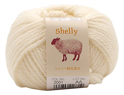 元廣(Motohiro) スキー 手編み毛糸 シェリー純毛並太(10玉セット) Col.2001