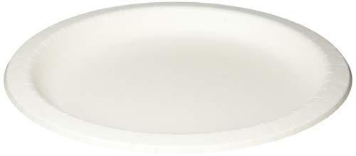 ペーパーウェア(Paperware)ナチュラルパルプ プレート 26cm 50P 厚手タイプ レンジあたためOK