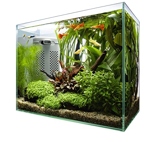 テトラ (Tetra) テトラ サイレントフレックスセット 30 ガラス 水槽 アクアリウム 熱帯魚 メダカ 金魚 ..