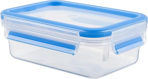 ティファール 保存容器 長方形 550ml 密閉 パッキン一体構造 「マスターシール フレッシュ MW レクタングル」 30年 N10142