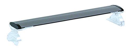 寿工芸 コトブキ工芸 RAY-MAX 600