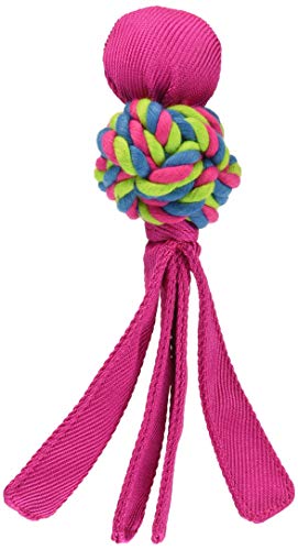 Kong(コング) 犬 おもちゃ デンタルウァバ スモール (ピンク) コングを使った7つの解決策(噛む 歯固め ..