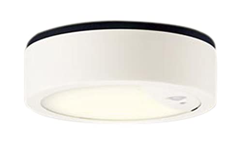 パナソニック(Panasonic) 天井直付型 LED 電球色 シーリングライト 拡散タイプ 防雨型・FreePaお出迎え..