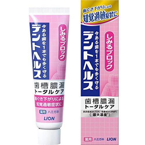 デントヘルス [医薬部外品] 歯槽膿漏予防に 薬用ハミガキ しみるブロック 歯磨き粉 28g
