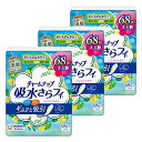 【まとめ買い】チャームナップ 吸水さらフィ 女性用 パンティライナー 3cc 無香料 消臭タイプ 17.5cm【軽い尿もれの方】204枚(68枚