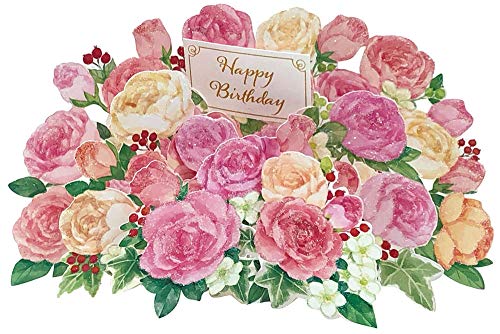 ����ꥪ(SANRIO) ����դ� �ե�-��륫���� FA10-0 P1710