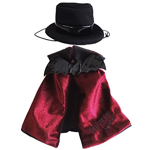 スクラッチ 米田民穂 ハロウィーン コスチューム L バット ぬいぐるみ 猫