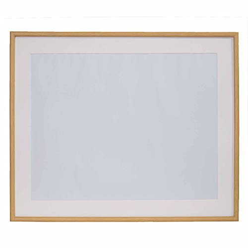 �ե����顼 FUJICOLOR �����۱� M20 ���� ���� 407826