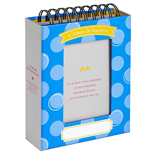 ナカバヤシ フレームケースアルバム タテ型 L判 60枚収納 ドット ブルー A-FTPT-301-B