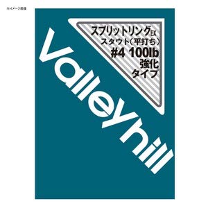 Х졼ҥ(Valleyhill) ץåȥ EX. #4(100lb)