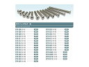 スクエア チタンヘックス皿ビス (30本入) 3×10 STR-3310