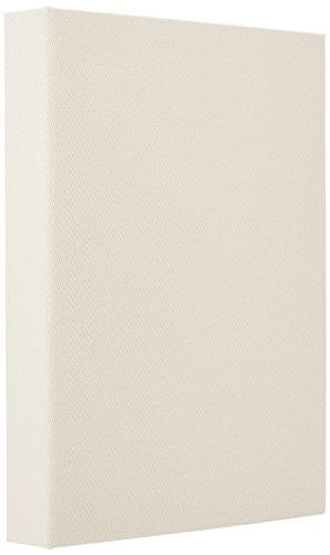 ナカバヤシ 無線綴ポケットアルバム テラコッタ L判3段 ホワイト TER-L3P-140-W