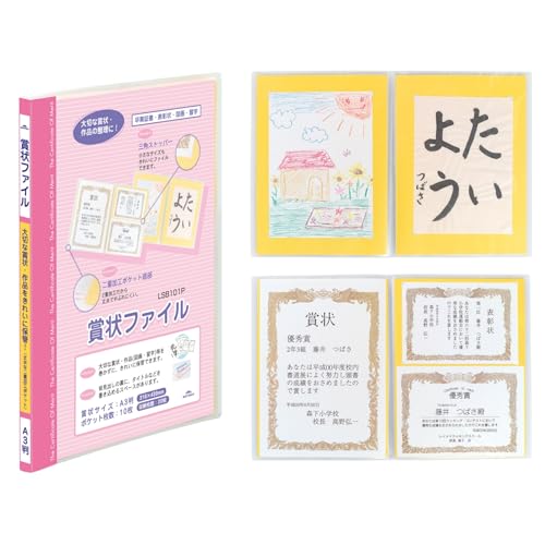 レイメイ藤井 賞状ファイル A3 ピンク LSB101P