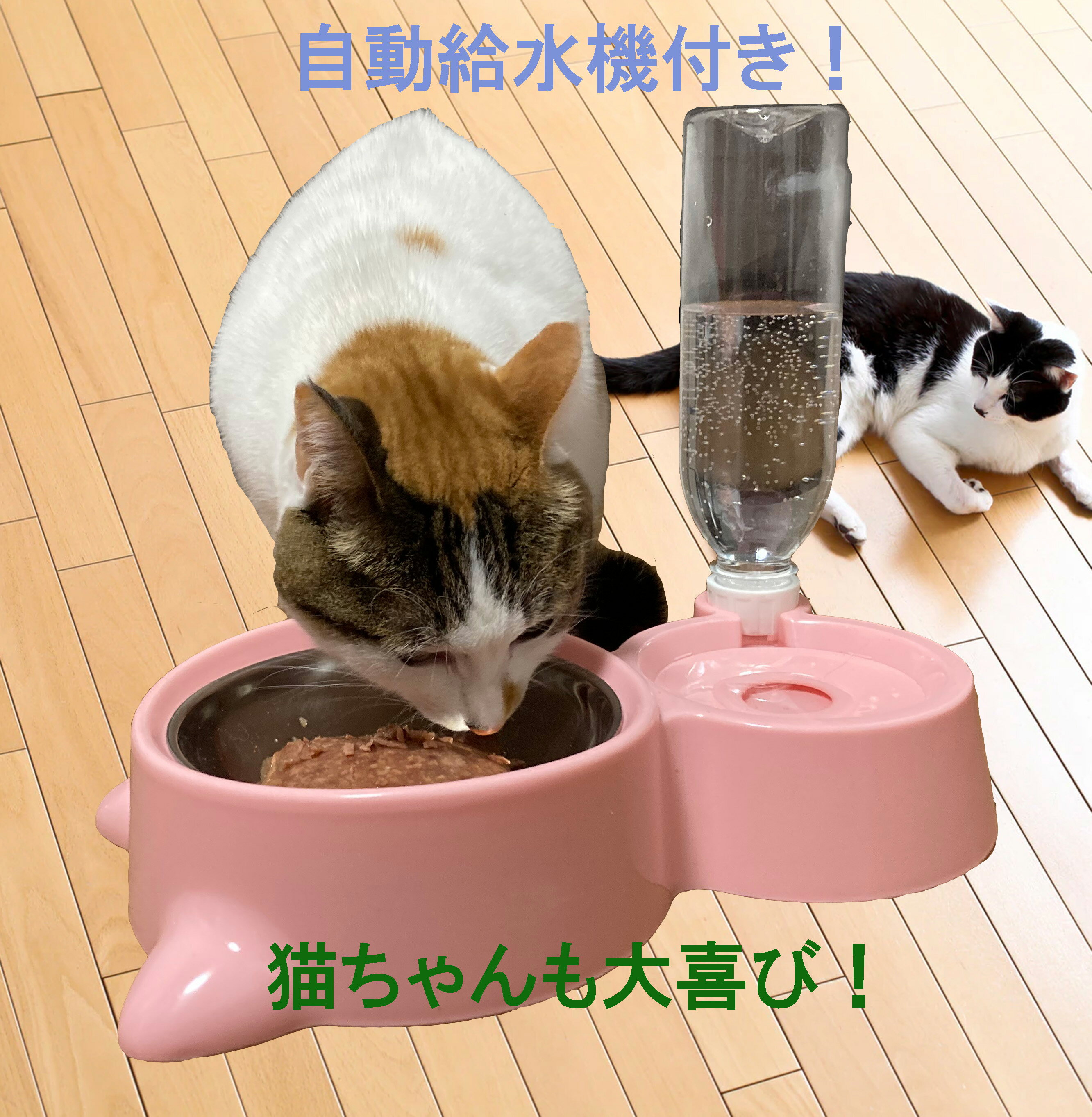 猫 フードボウル 犬 給水器 ペット 給餌器 ペットボウル エサ皿 ペット用 皿 フード 食べやすい 餌入れ エサ入れ 食器 小型犬 小型犬用 かわいい おしゃれ 送料無料 母の日 ギフト ポメラニアン