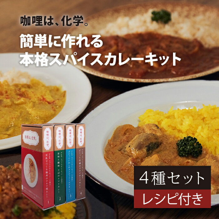 【賞味期限アウトレット】2024年8月31日 カレー スパイス 4種 セット h.and カレーは化学 天満紙器 スパイスカレー アウトドア キャンプ 手作り レシピ付 本格的 トマト ココナッツ キーマ ドライ コルマ フードロス