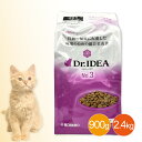 ドクターイデア No.3 Dr.IDEA 腎臓の健康に配慮した 成猫のための 総合栄養食 キャットフード ドライ 国産 小分け 個包装