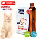 ドクターズケア 猫用 キドニーケア チキンテイスト 