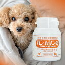 パンフェノンS 16.8g 140mg×120粒 スケアクロウ 動物用 健康補助食品 フランス海岸松樹皮エキス 発酵ゴマエキス 犬 シニア犬 老犬 成犬 健康サ...