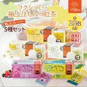 \期間中クーポン配布!スーパーセール/ ラクシュミー はちみつ紅茶 25袋 アソート 【大人気5種セット】 フルーツ レモン カモミール ミント 個包装 ギフト ティーバッグ紅茶専門店 Lakshimi プチギフト お礼 女性 プレゼント 【送料無料】