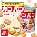 三立製菓 缶入りカンパン 100g 2缶セット 氷砂糖入り カンパン 乾パン 缶パン 缶詰 防災 非常用食品 長期保存 お菓子 備蓄 5年保存 美味しい 食べや...