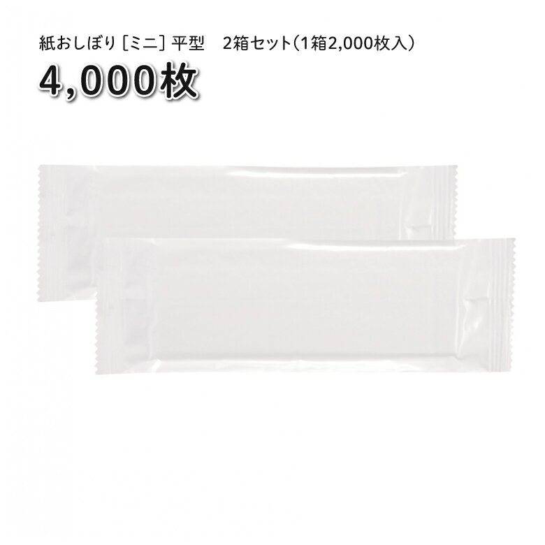 紙おしぼり [ミニ] 平型 【2000枚×2箱set】(計4000枚)【1枚あたり約2.26円】【送料無料※離島沖縄除く】12cm×22cm 1