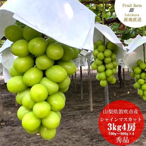 【2025年発送】シャインマスカット マスカット 産直 マスカット ブドウ 葡萄 ぶどう 4房 3kg 山梨 先行予約 大粒 大房 高糖度 自分へのご褒美 数量限定 期間限定 高級 秀等品 特秀 産地直送【2025年9月上旬〜9月下旬】 【2025年発送】シャインマスカット マスカット 産直 マスカット ブドウ 葡萄 ぶどう 4房 3kg 山梨 先行予約 大粒 大房 高糖度 自分へのご褒美 数量限定 期間限定 高級 秀等品 特秀 産地直送【2025年9月上旬〜9月下旬】