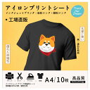 TransOurDream 真正の転写シート アイロンプリントシート 黒 濃色生地用 A4 10枚 インクジェットTシャツ転写シート 熱転写シート 洗濯に強い