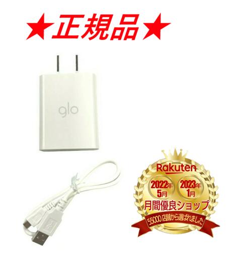 【楽天ランキング3位受賞！】 グロー acアダプター usb