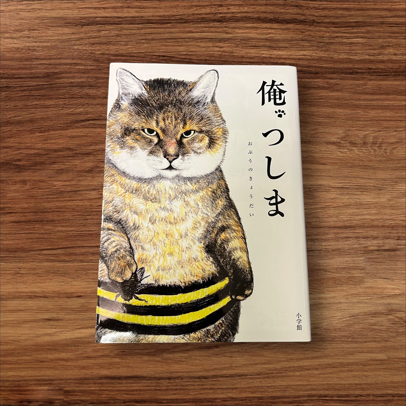 【安心の30日保証】 【中古】俺、つしま 小学館 おぷうのきょうだい 読書 知識 教育 読書能力向上 読書 本棚 学習 オレ 俺 おれ つしま 猫 ねこ ネコ 猫愛 マンガ風 おぷうのきょうだい 兄弟のサムネイル