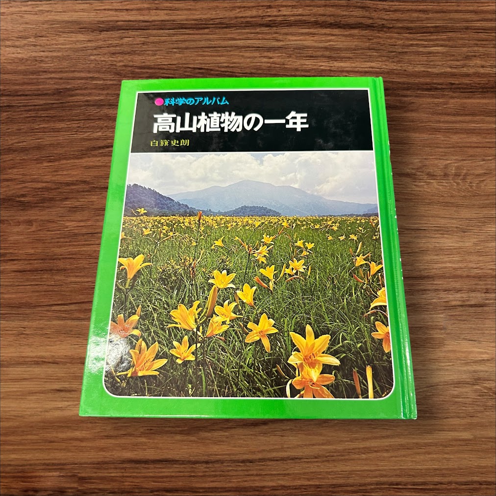 【中古】 高山植物の一年 科学のアルバム 子供 絵本 知育 教育 幼児 イラスト 読書 楽しい 読書能力向上 子ども 言語能力向上 読書 こども 幼稚園 動物 鳥 虫 昆虫 花 植物 根菜 野菜 畑 生き物 生物 生態 図鑑 海 山 川 知識 探求心 成長 果物 写真 イラスト