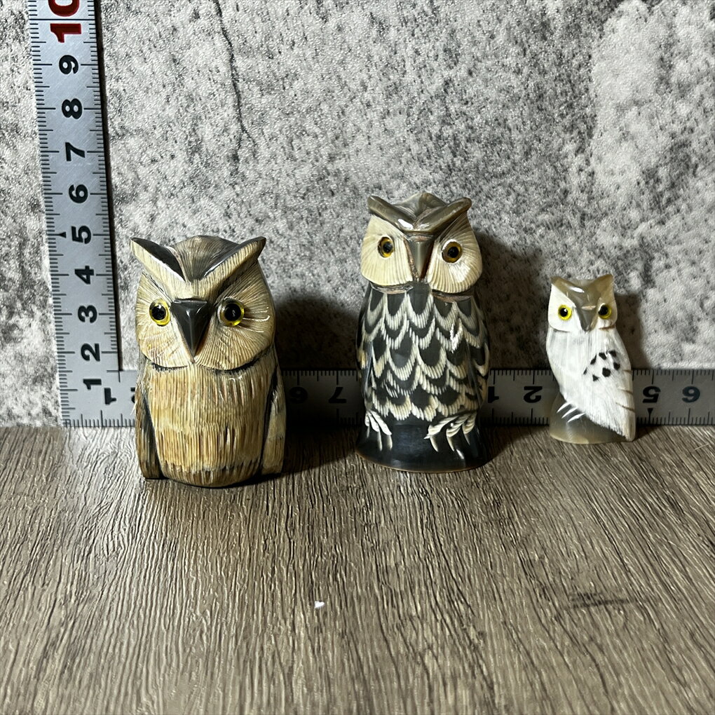 楽天市場】フクロウ リアル ワシミミズクの通販